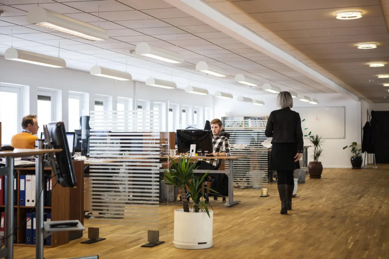 louisehoffmann83-office-2360063_1280